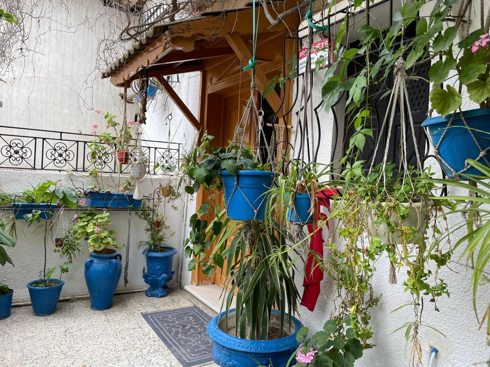 Casa Zitouna - Guest House - Kef, Tunisia Sicca Veneria Exterior photo