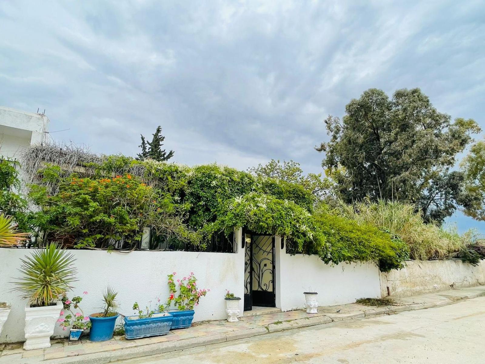 Casa Zitouna - Guest House - Kef, Tunisia Sicca Veneria Exterior photo